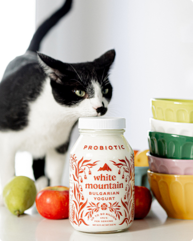 High probiotic yogurt is good for people and animals